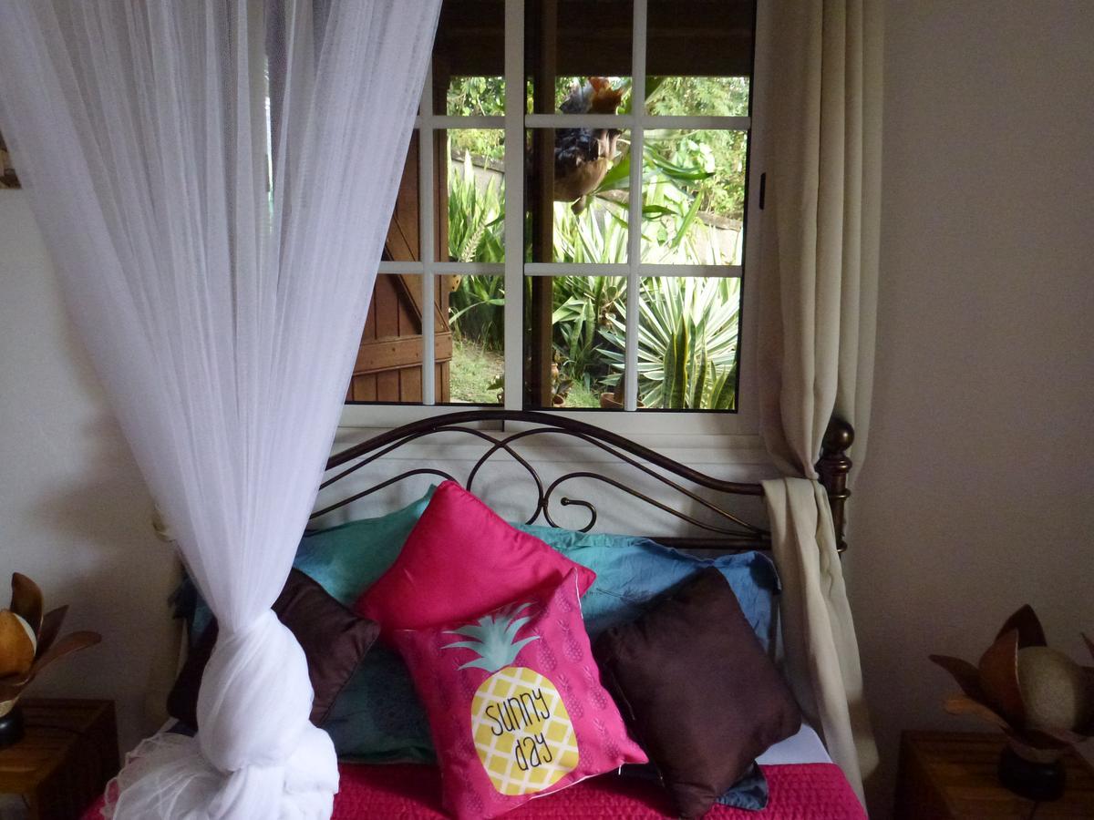 Kreyol Lodges - Suite Kayou Deshaies Buitenkant foto